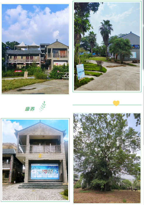 0033990威尼斯(中国)有限公司 -Best Of Best